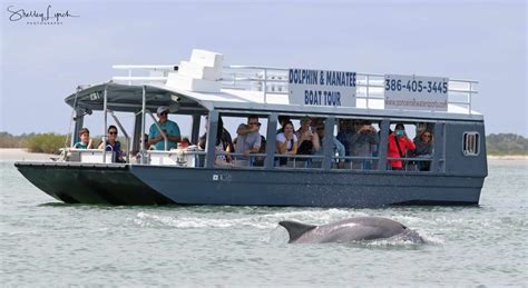 scenic boat tours daytona beach|manatee dolphin tours daytona beach.